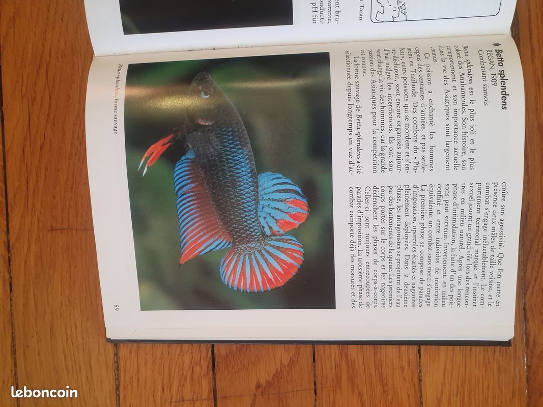 Vente de livre sur les poissons combattants et autres (image 3)