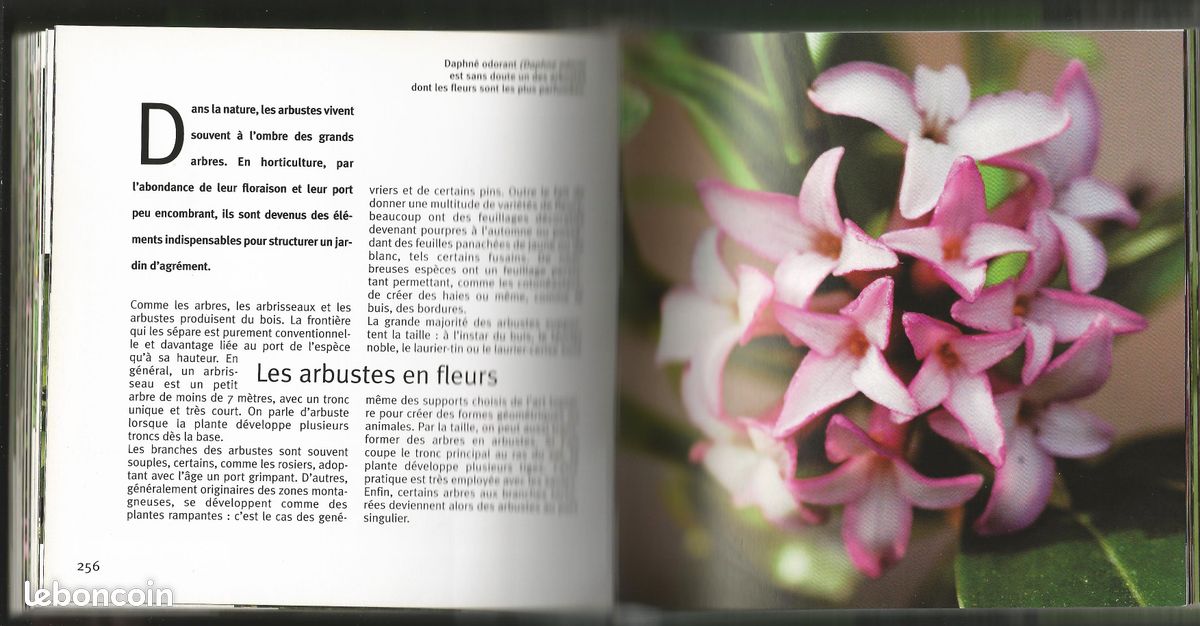 Les Fleurs - 1001 Photos (image 3)