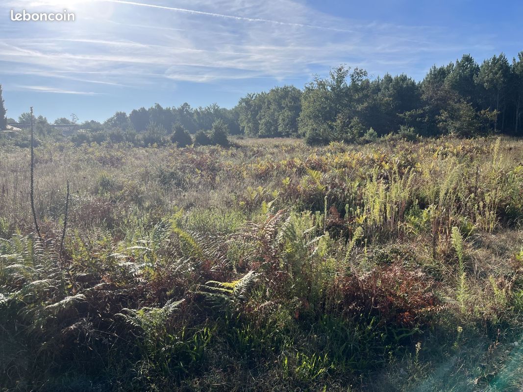 Terrain à bâtir de 1732 m² à SAINTE-HELENE (33) · à Sainte-Hélène · 158 000 €
