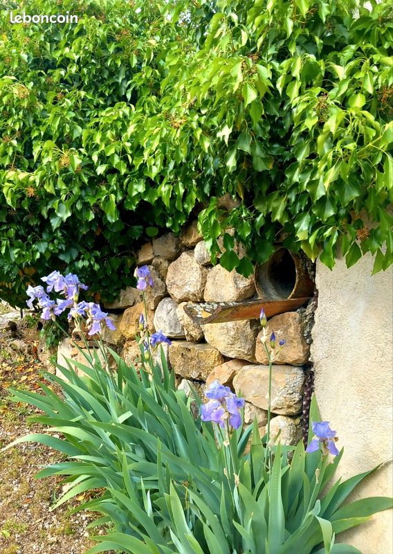 Belle chambre d'hôtes avec piscine (image 7)