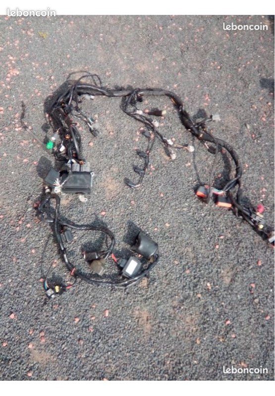 FAISCEAU ÉLECTRIQUE pour KAWASAKI ZX6R DE 2007 et 2008 (image 2)