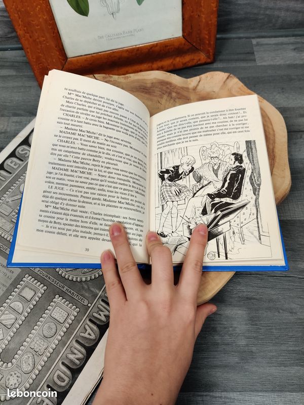 Livre Un bon petit diable - La comtesse de Ségur (image 3)