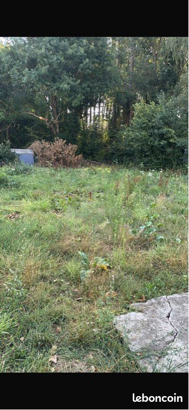 Service Espace vert (image 1)