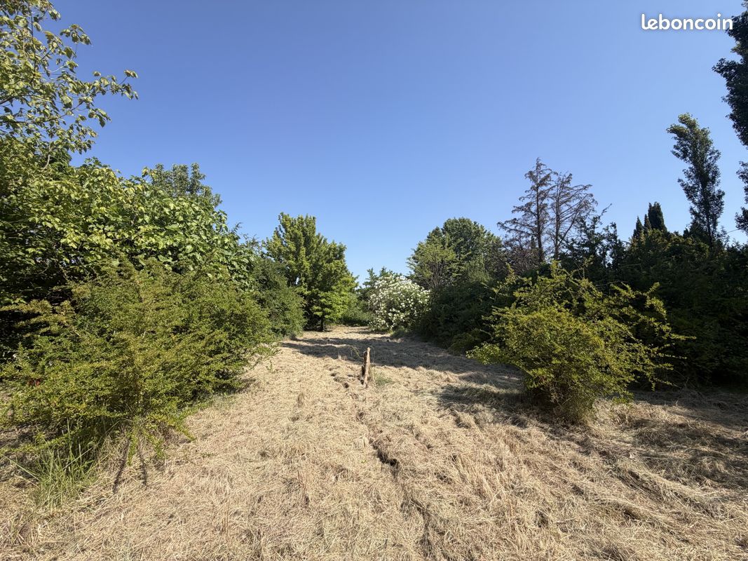 Mas 6 pièces 184 m² (image 29)
