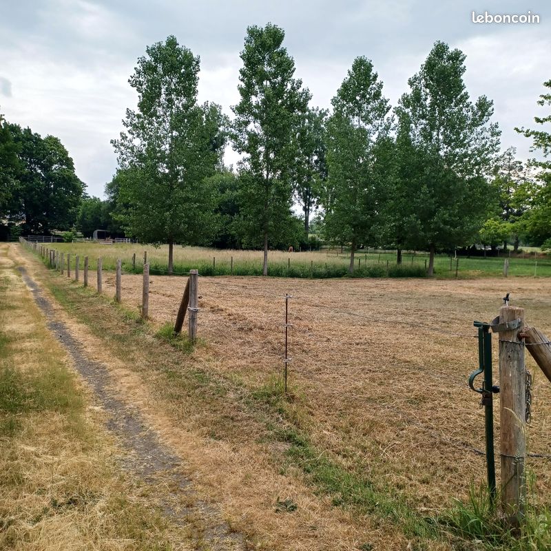 Terrain de loisirs , moutons, chevaux, plantations · à Fougères · 13 000 €
