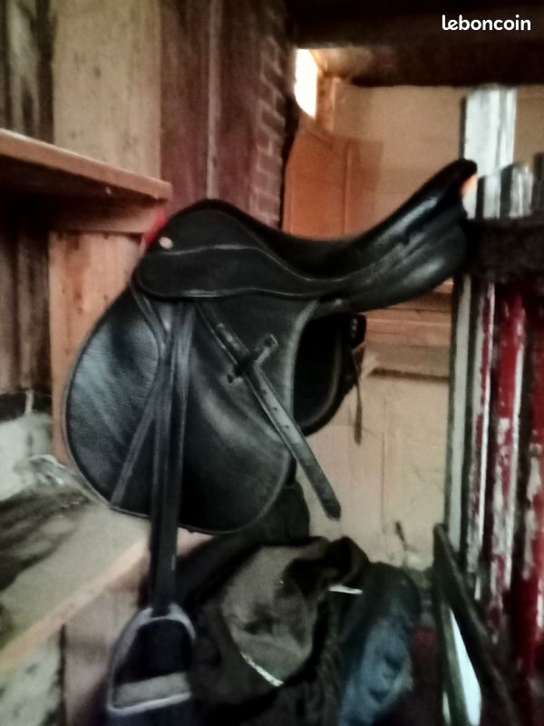 Selle (image 2)