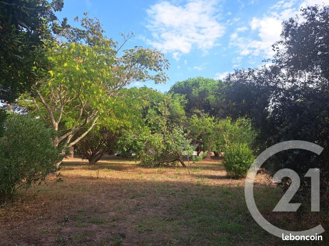 Terrain 815 m² Saint Georges D Oleron · à Saint-Georges-d'Oléron · 239 000 €