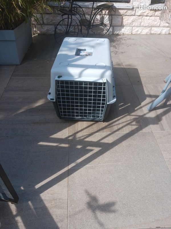Varicanelle pour chien (image 1)