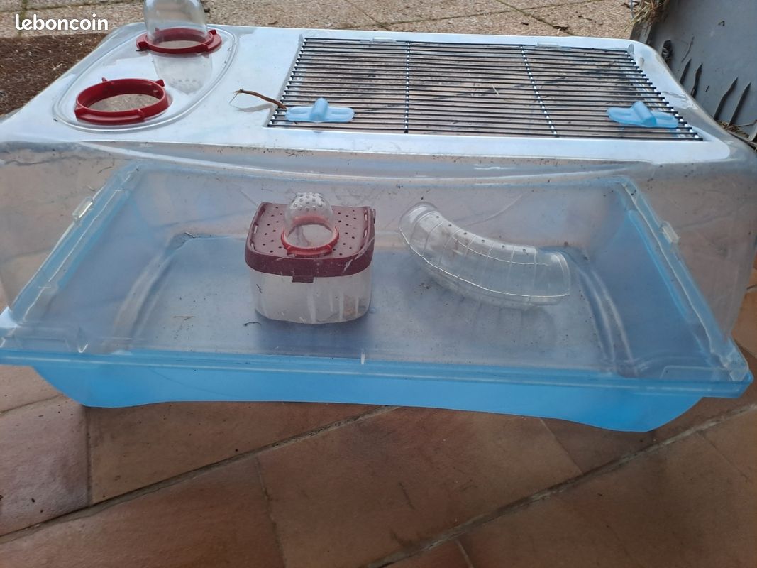 Cage à hamster (image 1)