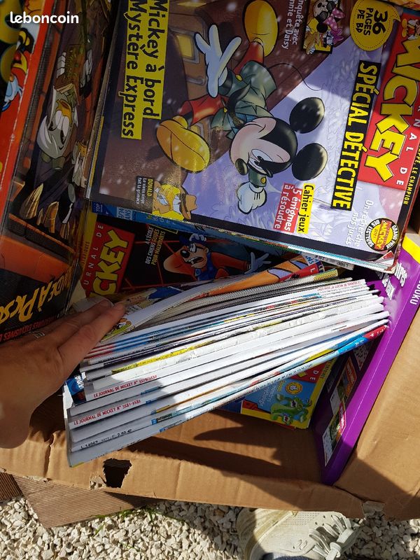 Journal de mickey (image 3)