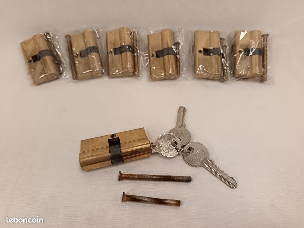 Cylindre De Porte 14796 Avec 2 Clés – Occasion – Acier Argenté