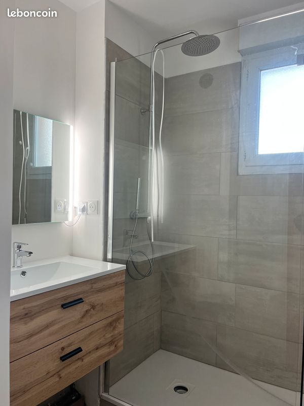 T2 48 m2 - Limoges 87000 (image principale 1)