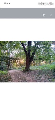 Terrain constructible de 1607 m2