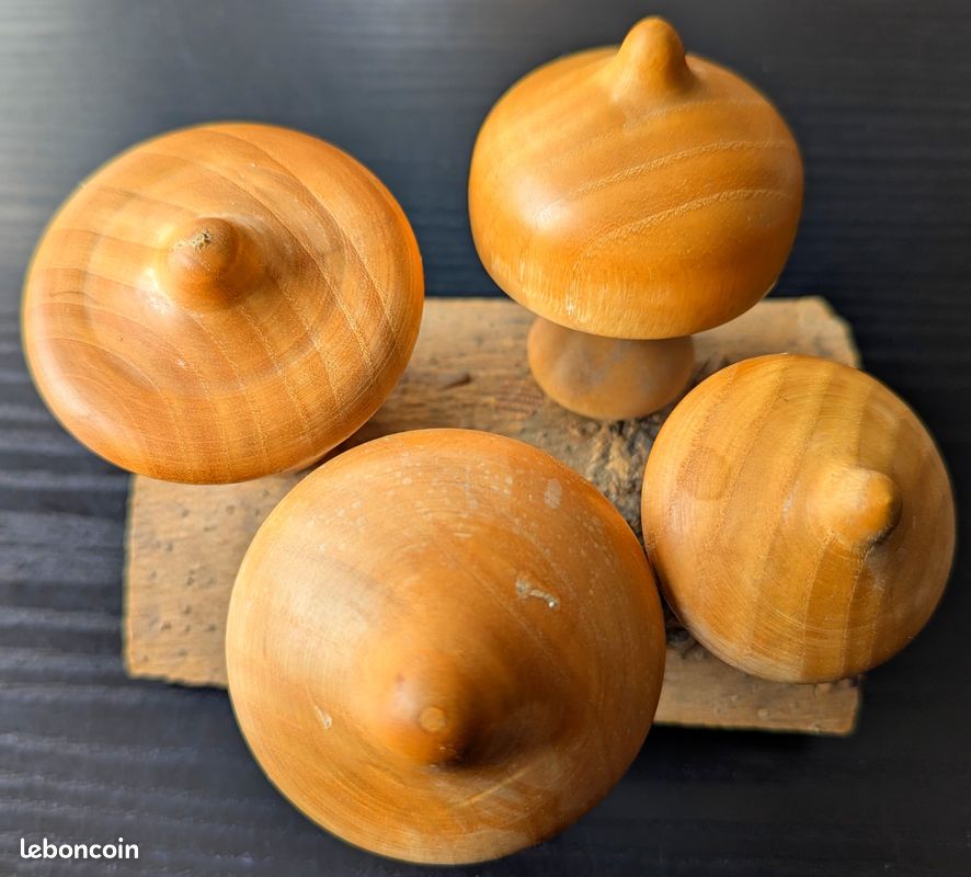 Champignons en bois tourné (image 1)