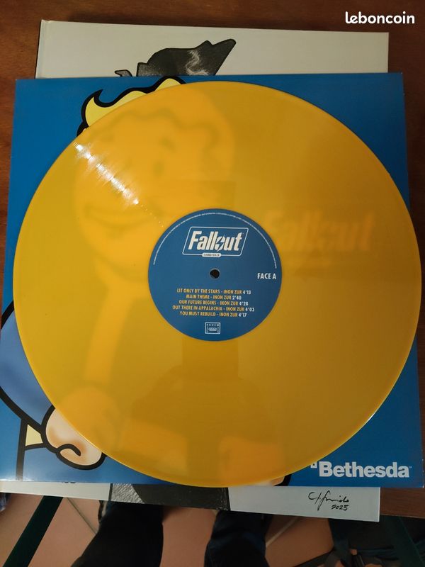 Fall out vinyle (image 3)