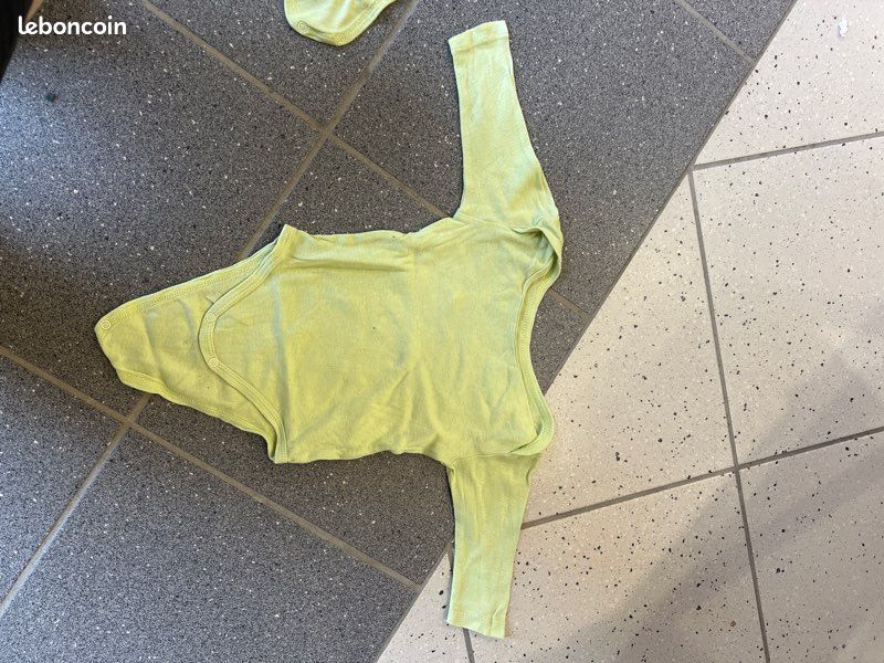 Bodies (image 2)