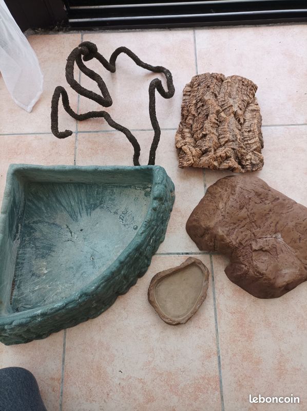 Accessoires terrarium (image 2)