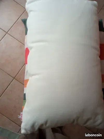 Lot de 2 coussins de canapé (image 6)