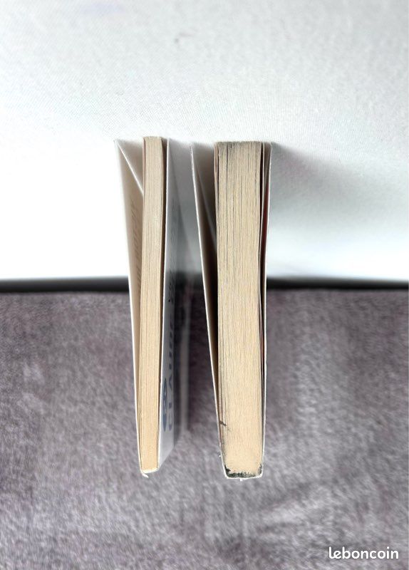 Livres poche « Hermani » et « Claude Gueux » de Victor Hugo (image 14)