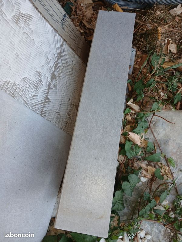 Pleinthes 45 cm (image 1)