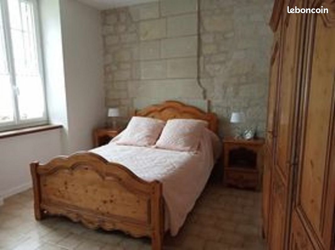Location de gîte à proximité de Chinon et de la confluence Loire et Vienne (image 4)