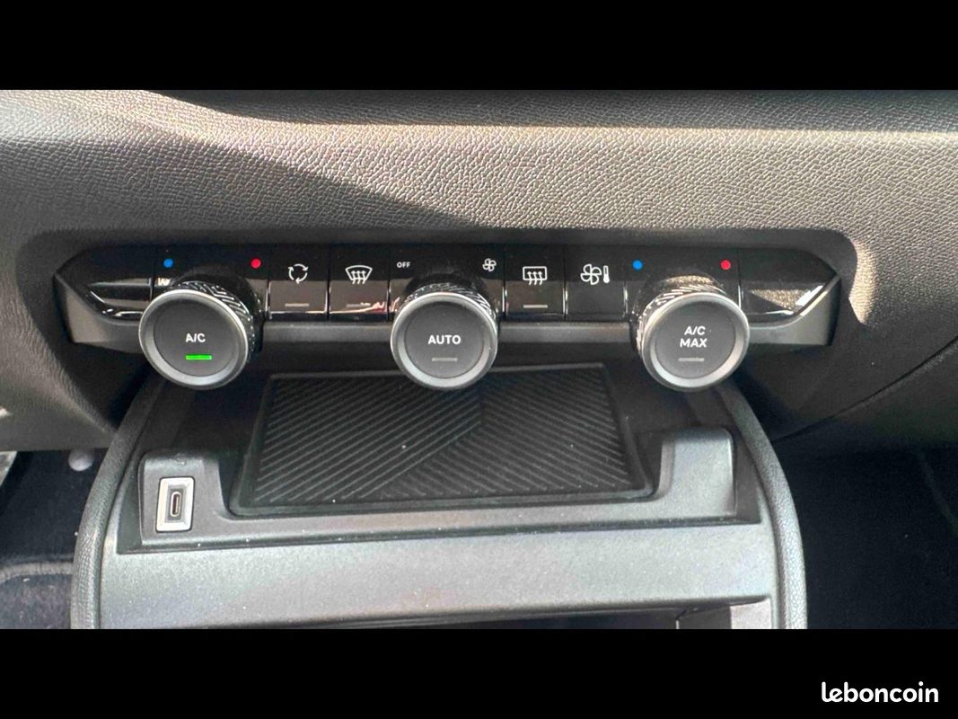 Citroen C4 PureTech 100 Live Pack Business (image 30)
