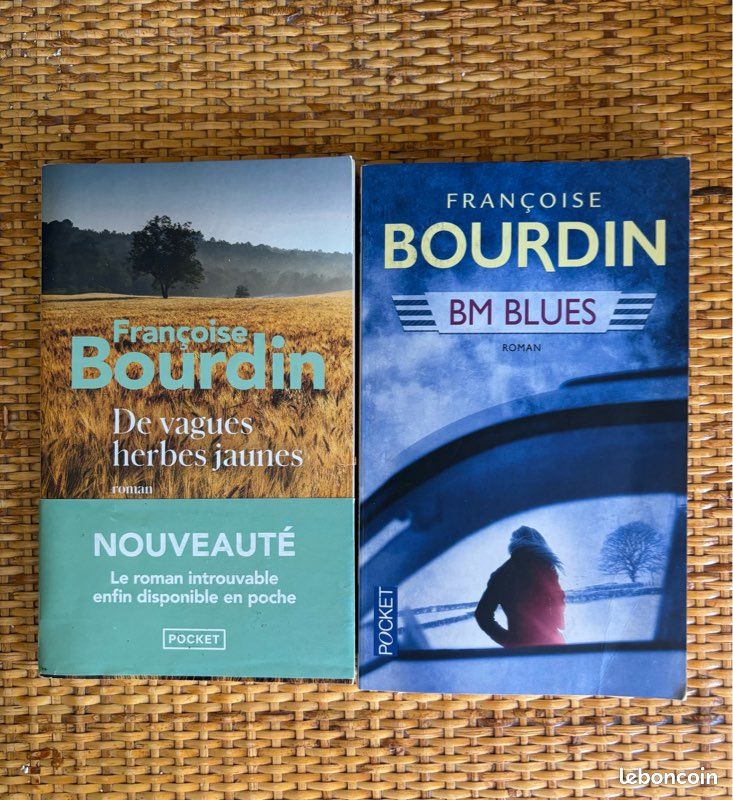 2 romans de Françoise Bourdin (image 2)