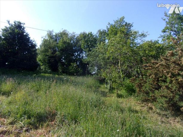 Terrain 700 m² CARENTOIR