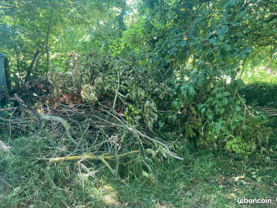 Bois de chauffage (image 2)