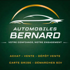 Logo du professionnel