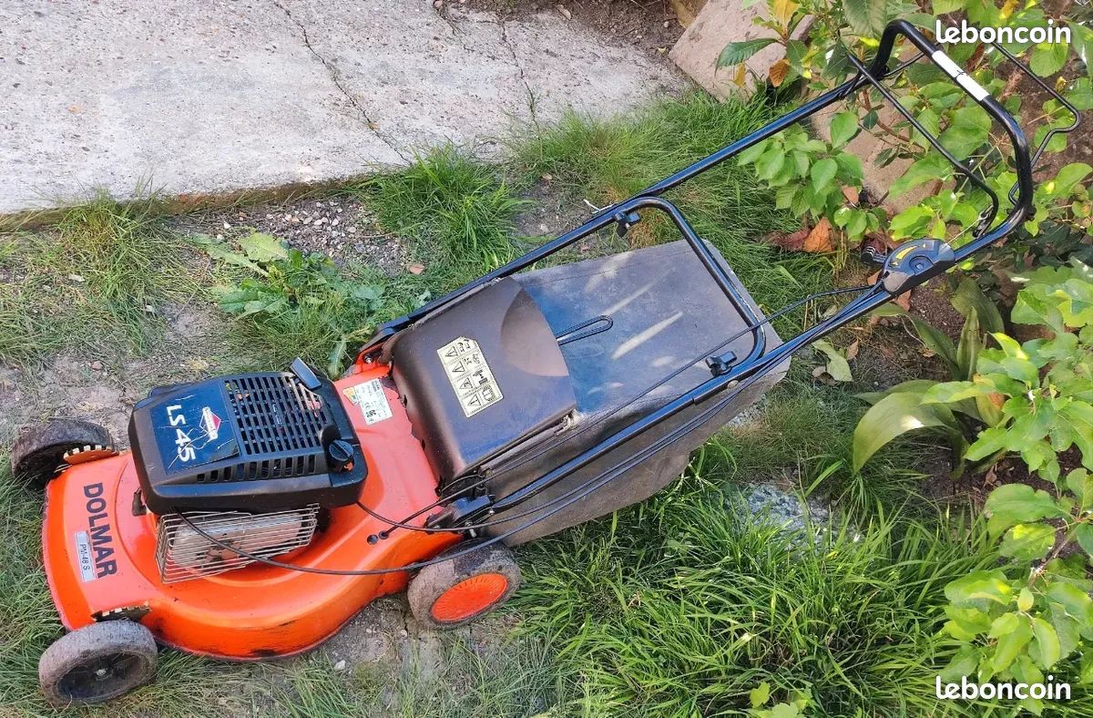 Tondeuse thermique tractée Dolmar Jardin Plantes