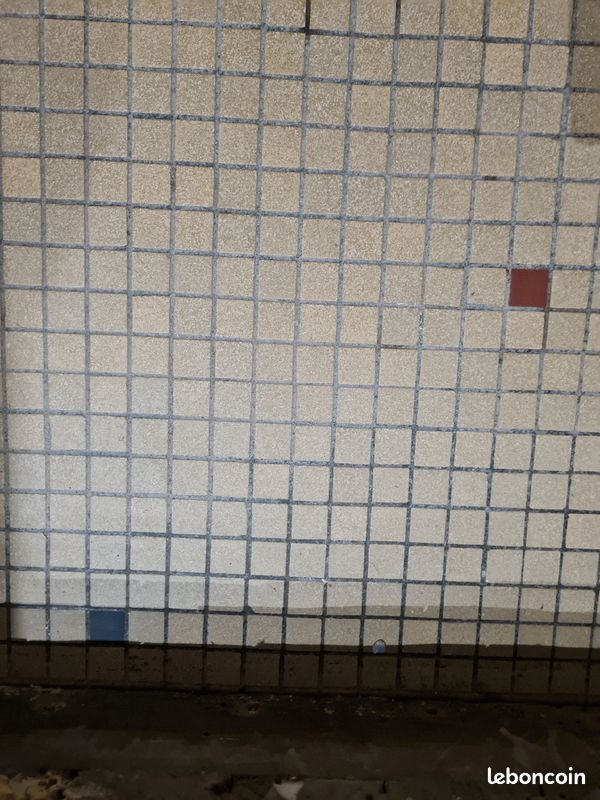 Recherche carrelage gré porphyre moucheté (image 1)