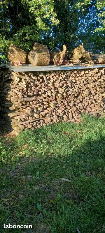 Bois Allume-feu ou pour barbecue (image 1)