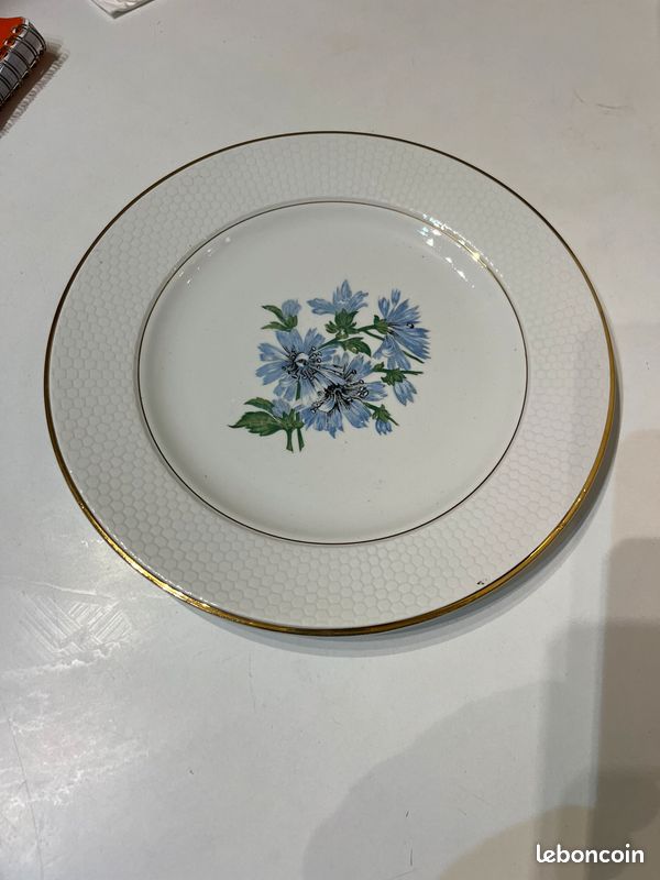 Superbe suite de 12 assiettes à dîner en porcelaine de Limoges, maison