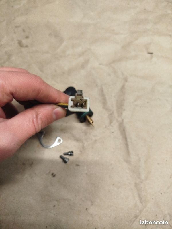 Starter carburateur delorto (image 2)