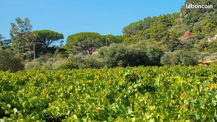 Terrain 500 m² Gonfaron