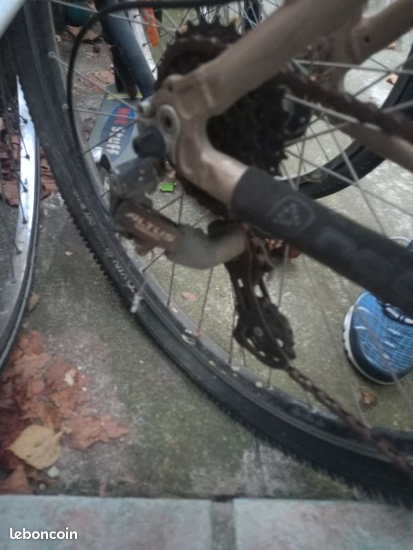 Vélo Normal (image 6)