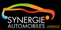 Logo du professionnel