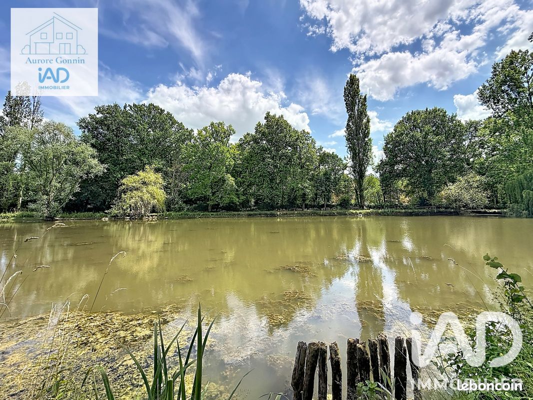 Terrain 21837 m² Chantenay-saint-imbert (image 16)