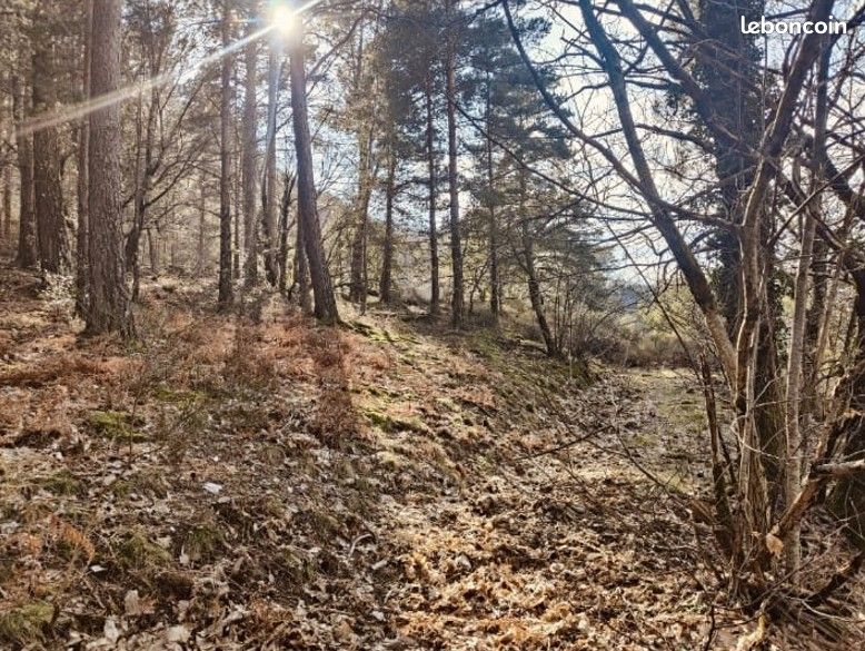 Terrain 6500 m² avec Certificat d'Urbanisme (mai26) · à Saint-Hilaire-de-Lavit · 62 000 €