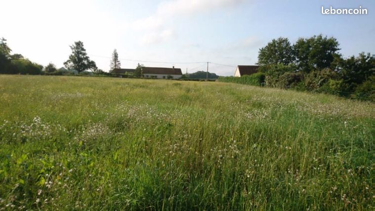 Terrain constructible