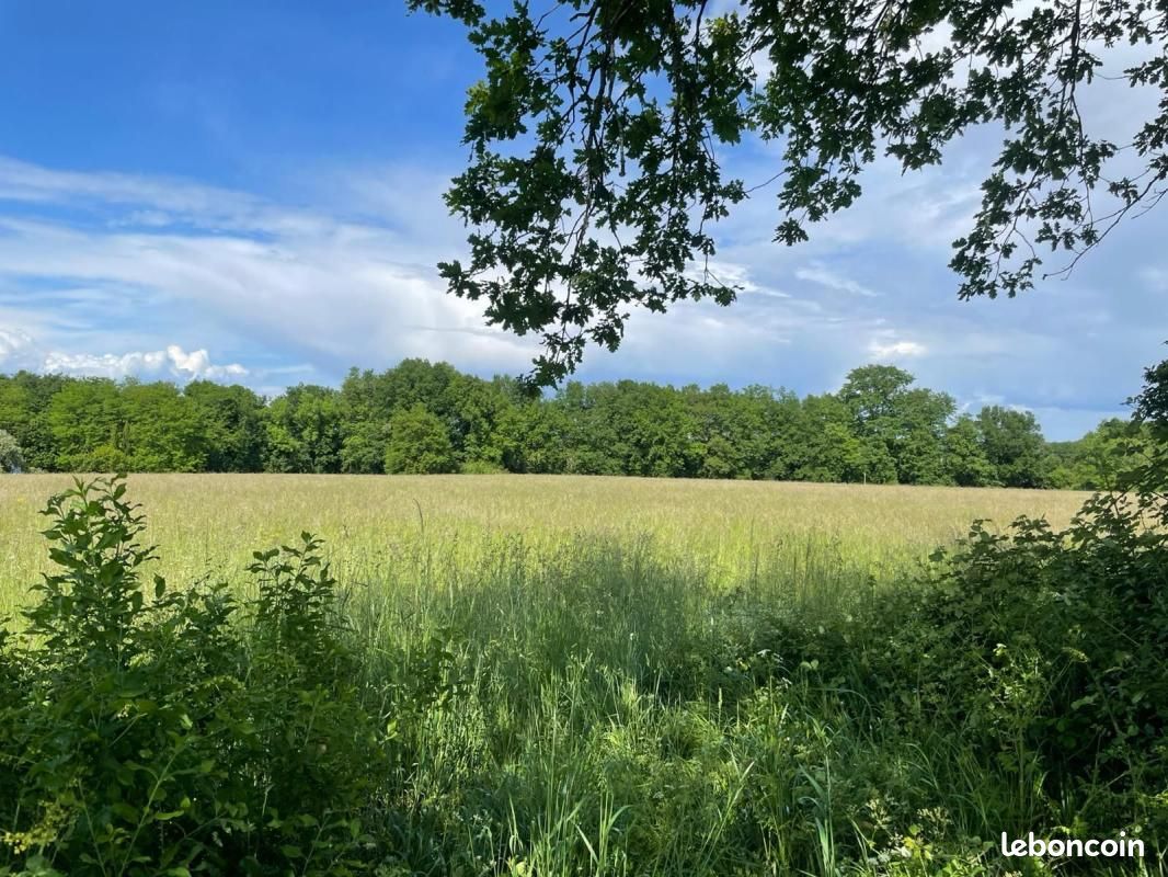 Terrain 1 017 m² Ludon Medoc · à Ludon-Médoc · 175 000 €