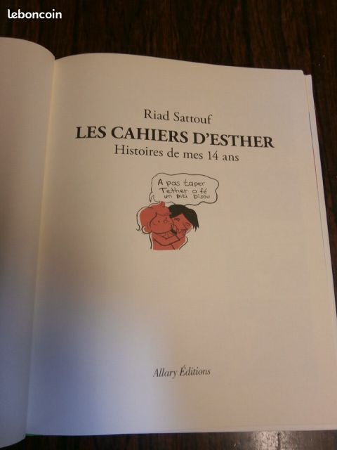 Bande dessinée : Les cahiers d'Esther - Histoire de mes 14 ans (image 4)