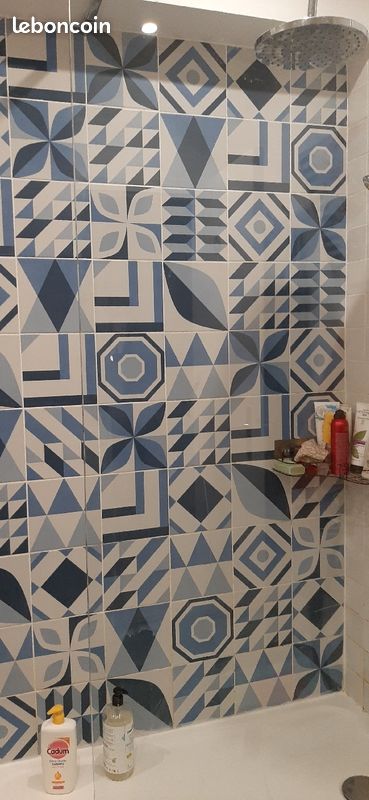 Carreau salle de bain (image 3)