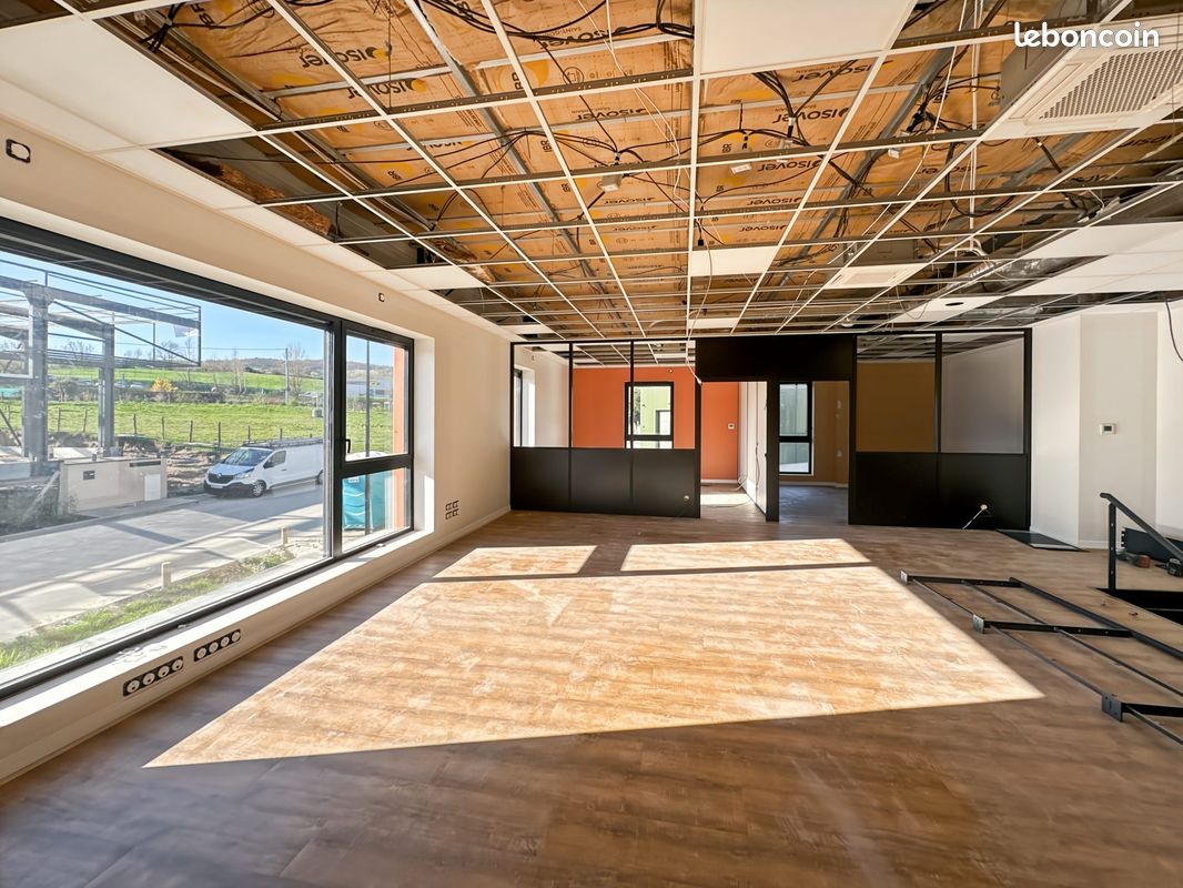 Local 540 m² Thurins (image 5)