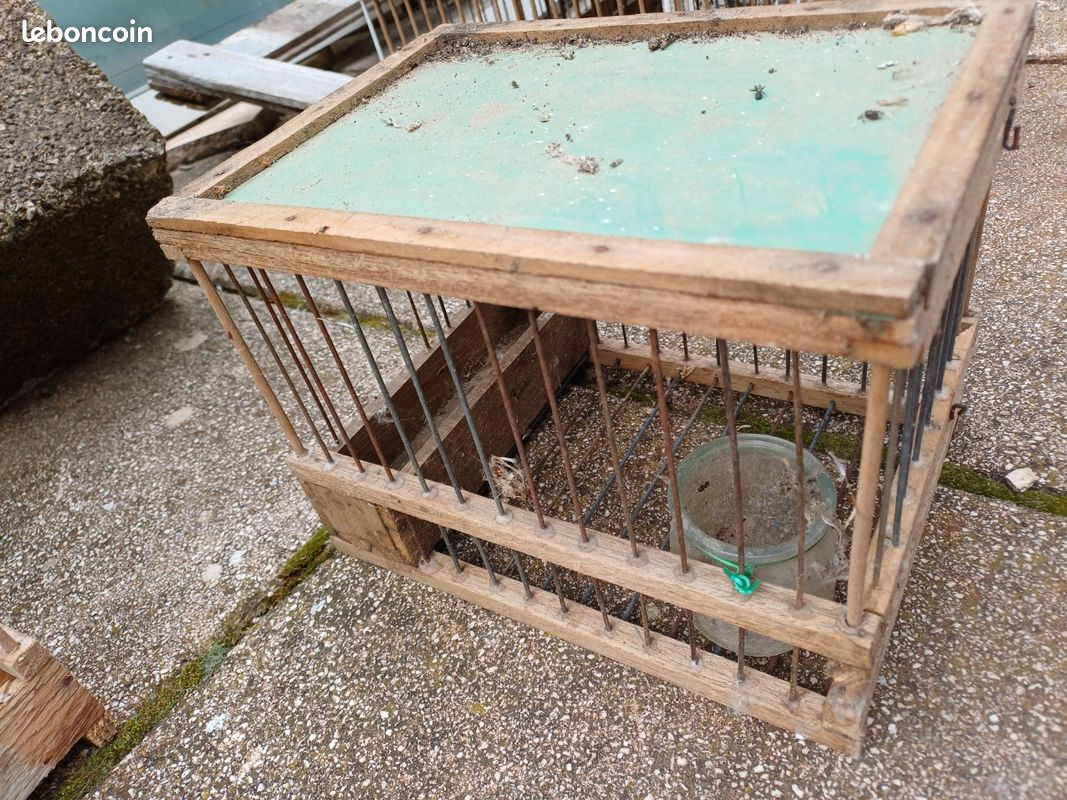 Cages à grives (image 3)