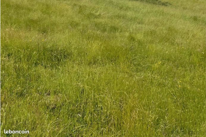 Terrain 3 492 m² Charolles
