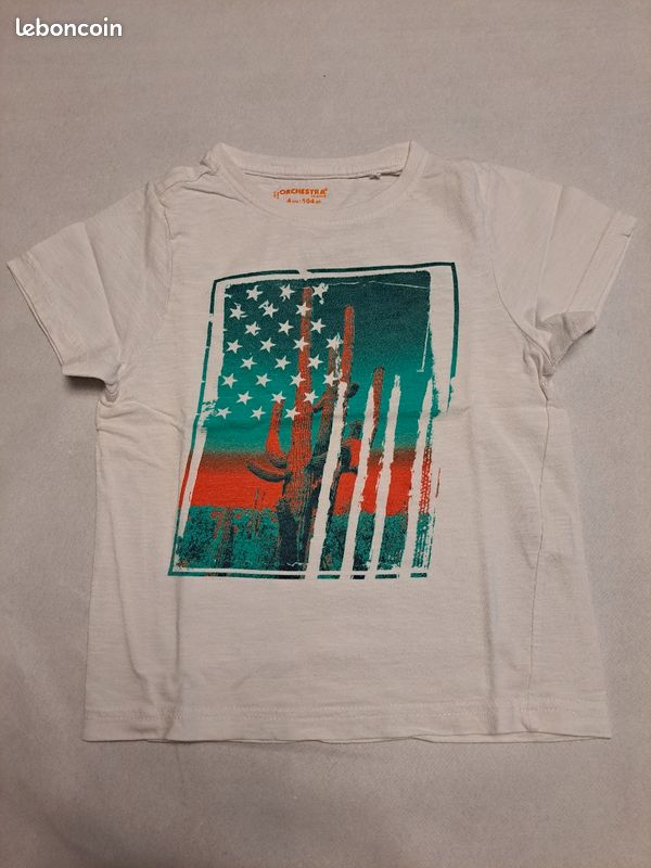 Lot de 14 t-shirts garçon- Taille 4 ans (image 11)