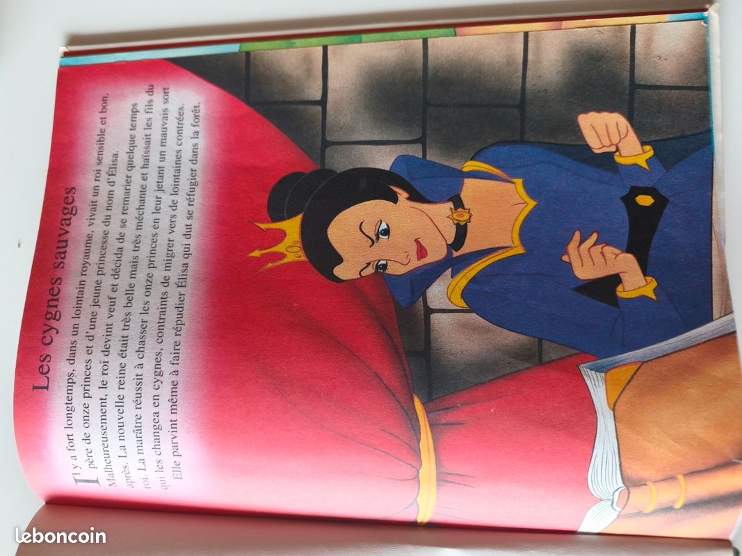 Les cygnes sauvages (image 3)