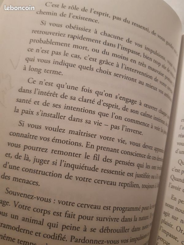 Uniquement en Martinique Livre La montagne c´est toi de Brianna wiest (image 4)